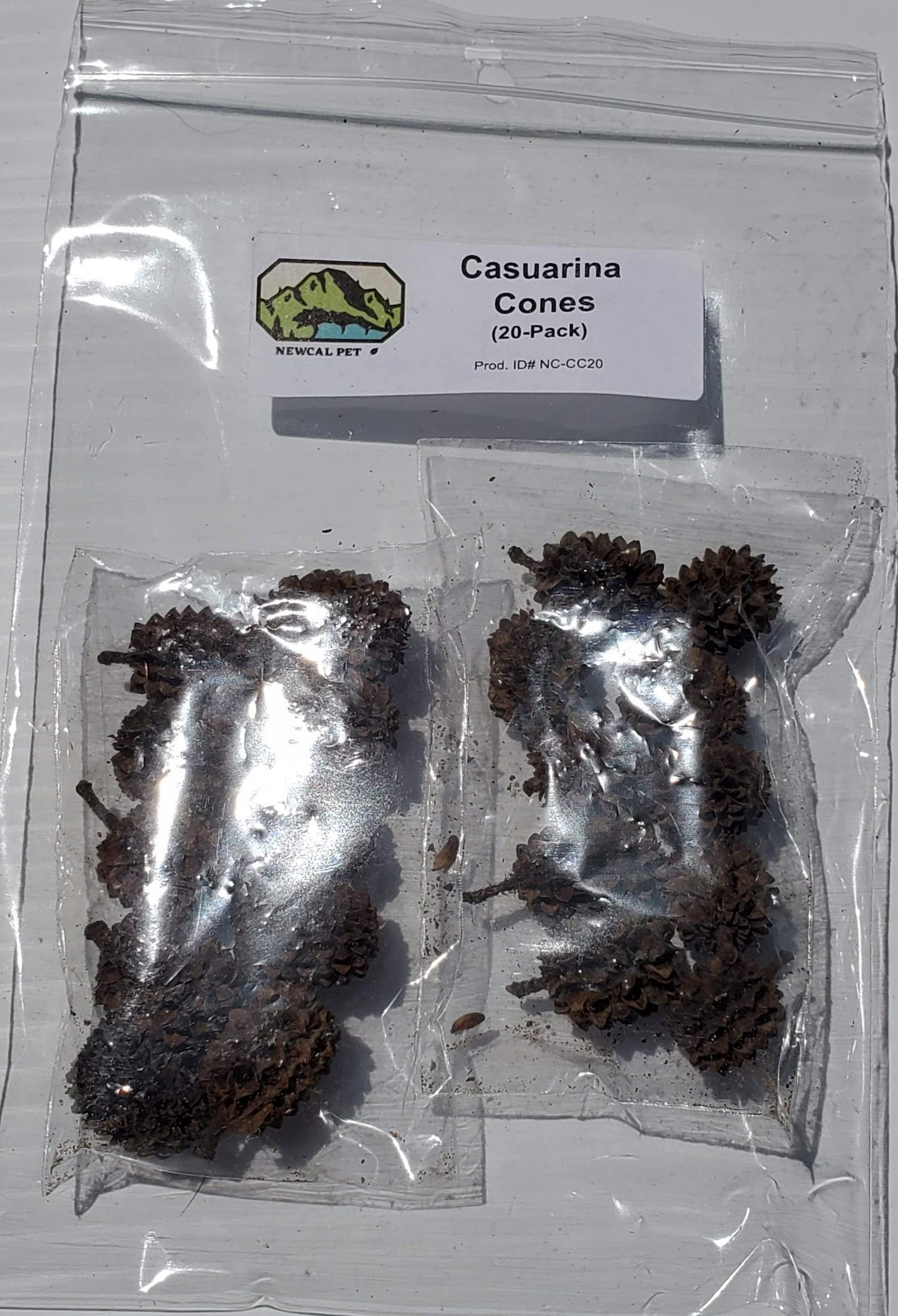 NewCal Casuarina Cones (20-pack) - Image 2