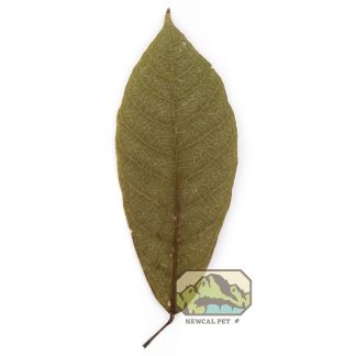 NewCal Cocoa Leaves (10-pack)