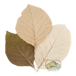 NewCal Teak Leaves (10-pack)