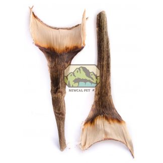 NewCal Agave Leaf Natural (2-Pack)