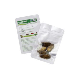 ProBugs Eco-Fresh Dubia Roaches