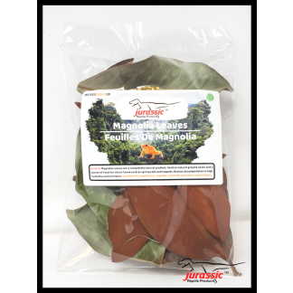 JRP Magnolia Leaf Litter