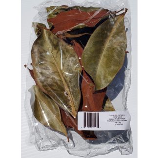 JRP Small Magnolia Leafs on Stem