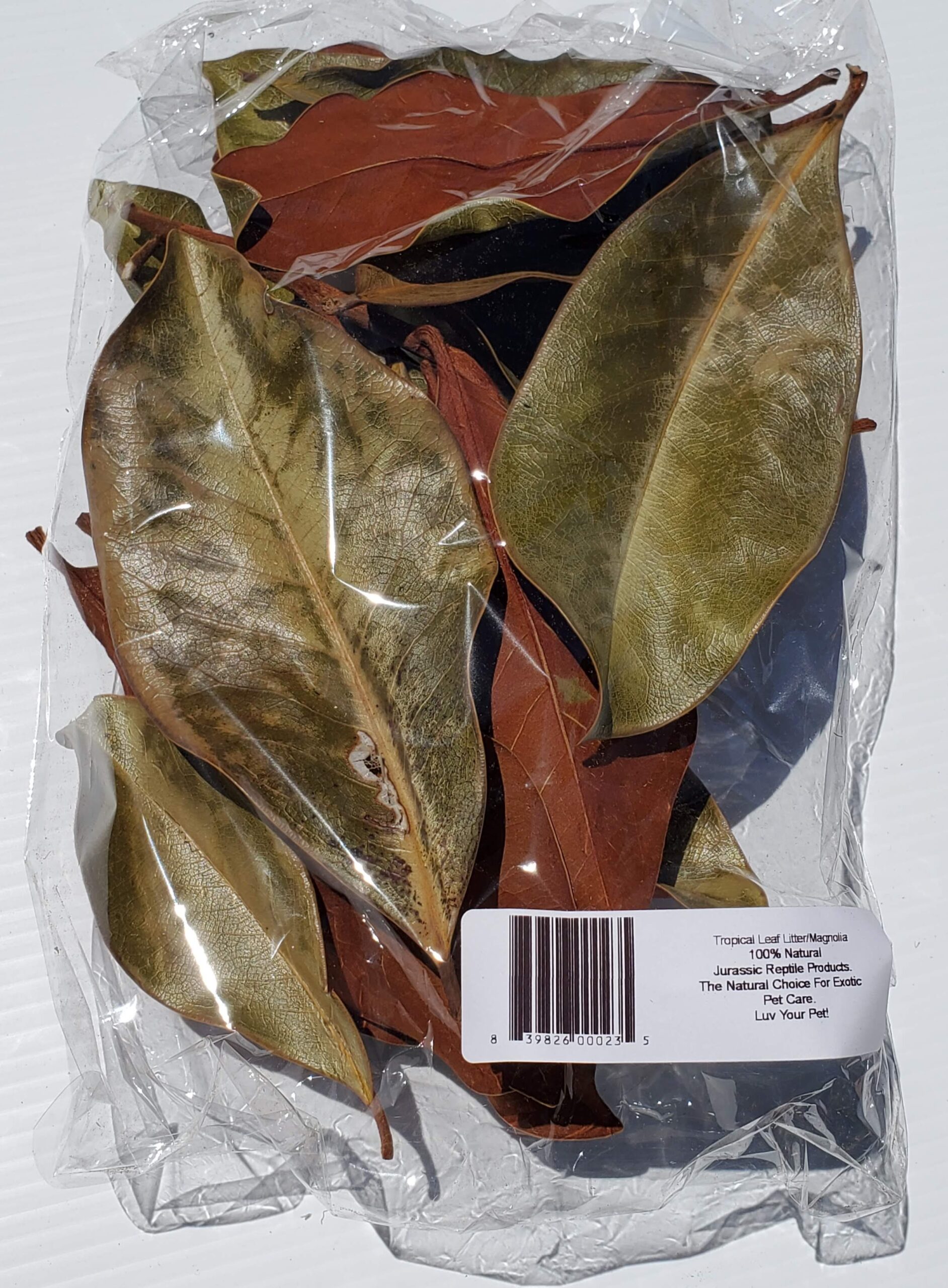 JRP Magnolia Leaf Litter - Image 2