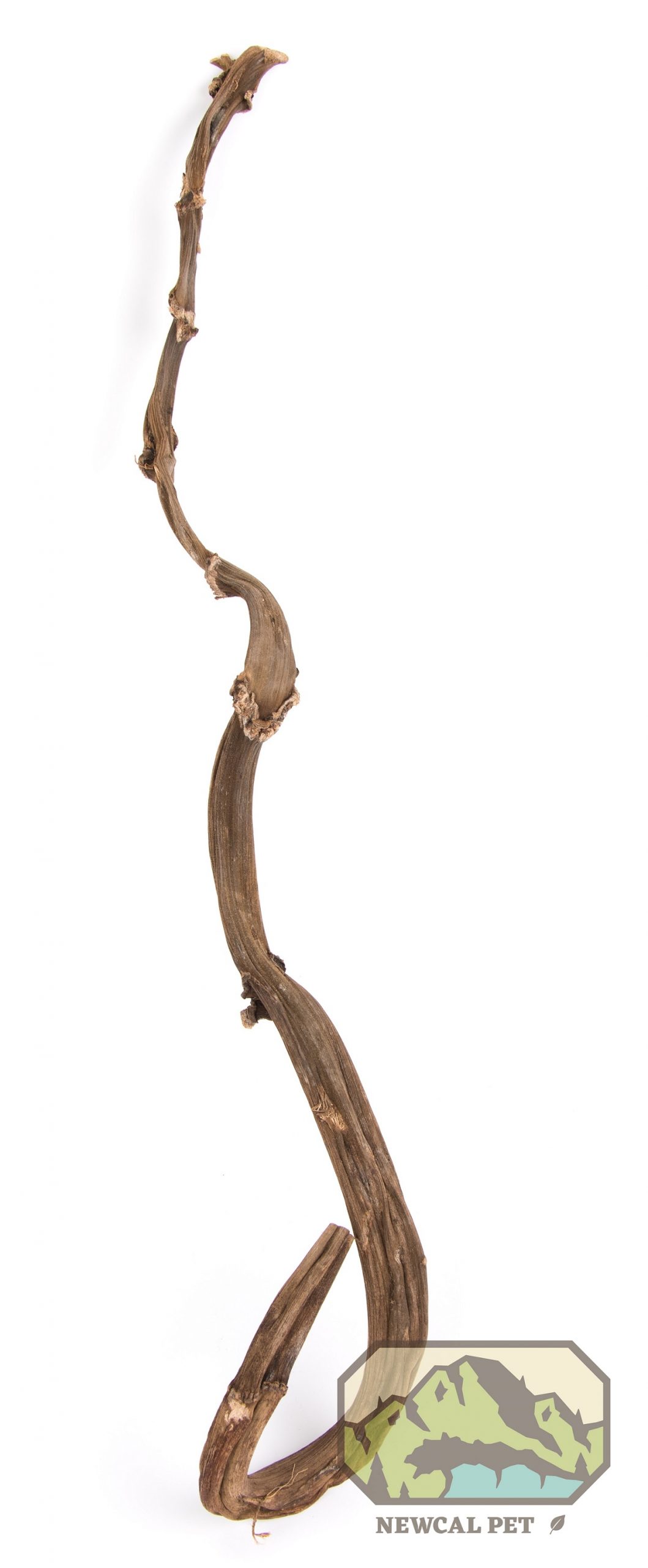 NewCal Dried Banana Stick 30"