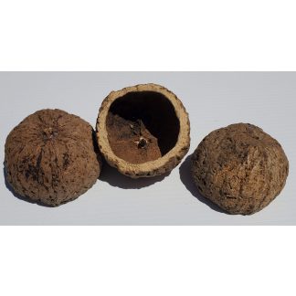JRP Ourico Pod