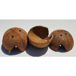 JRP 1/2 Coconut Shell Hide