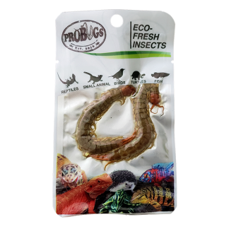 ProBugs Centipedes
