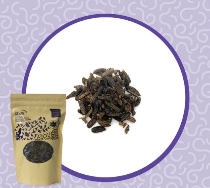 Obie's Whole Dried BSFL