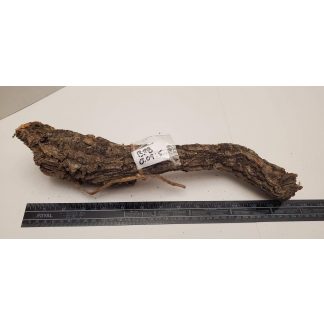 Cork Bark - Branch B028 (9.5oz)