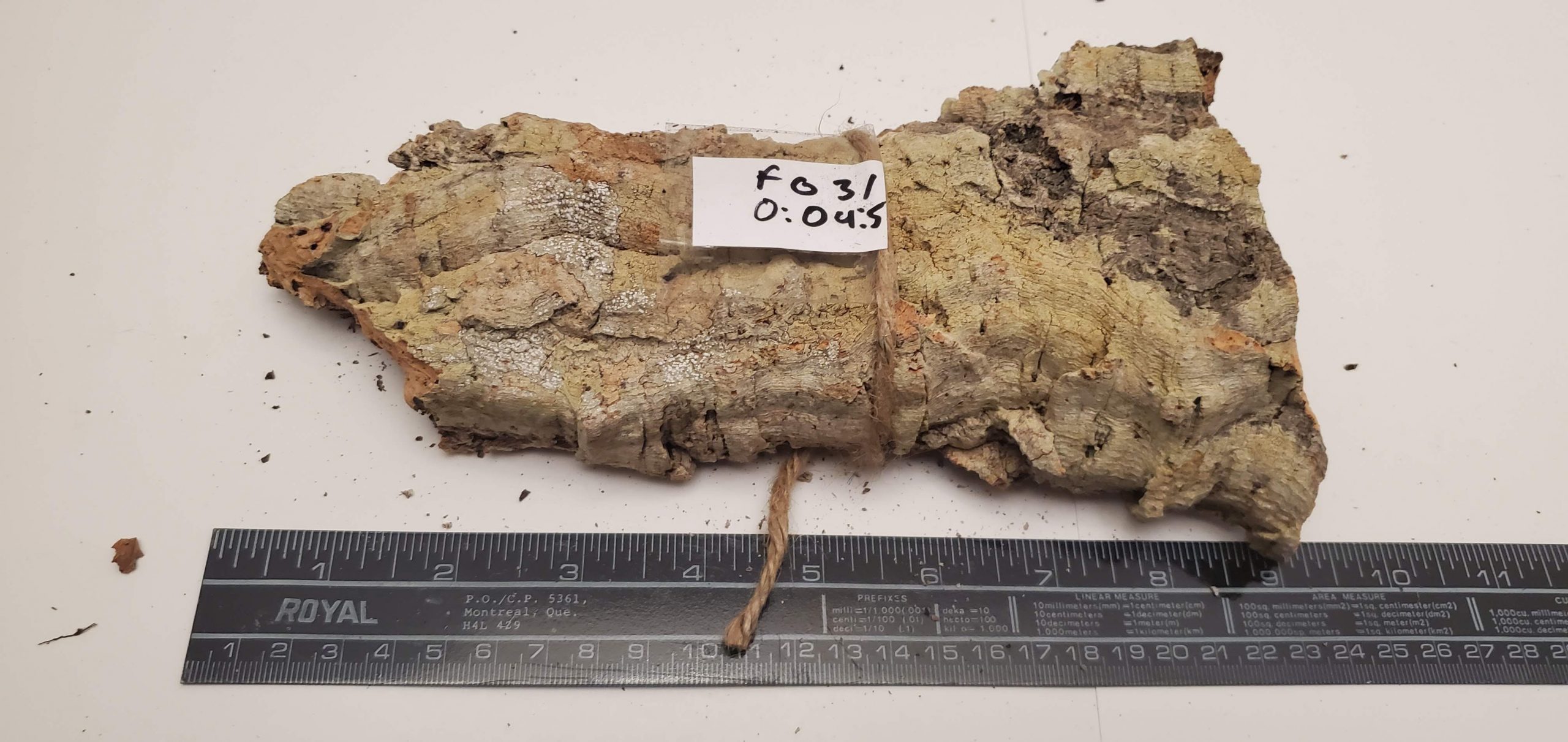 Cork Bark - Flat F031