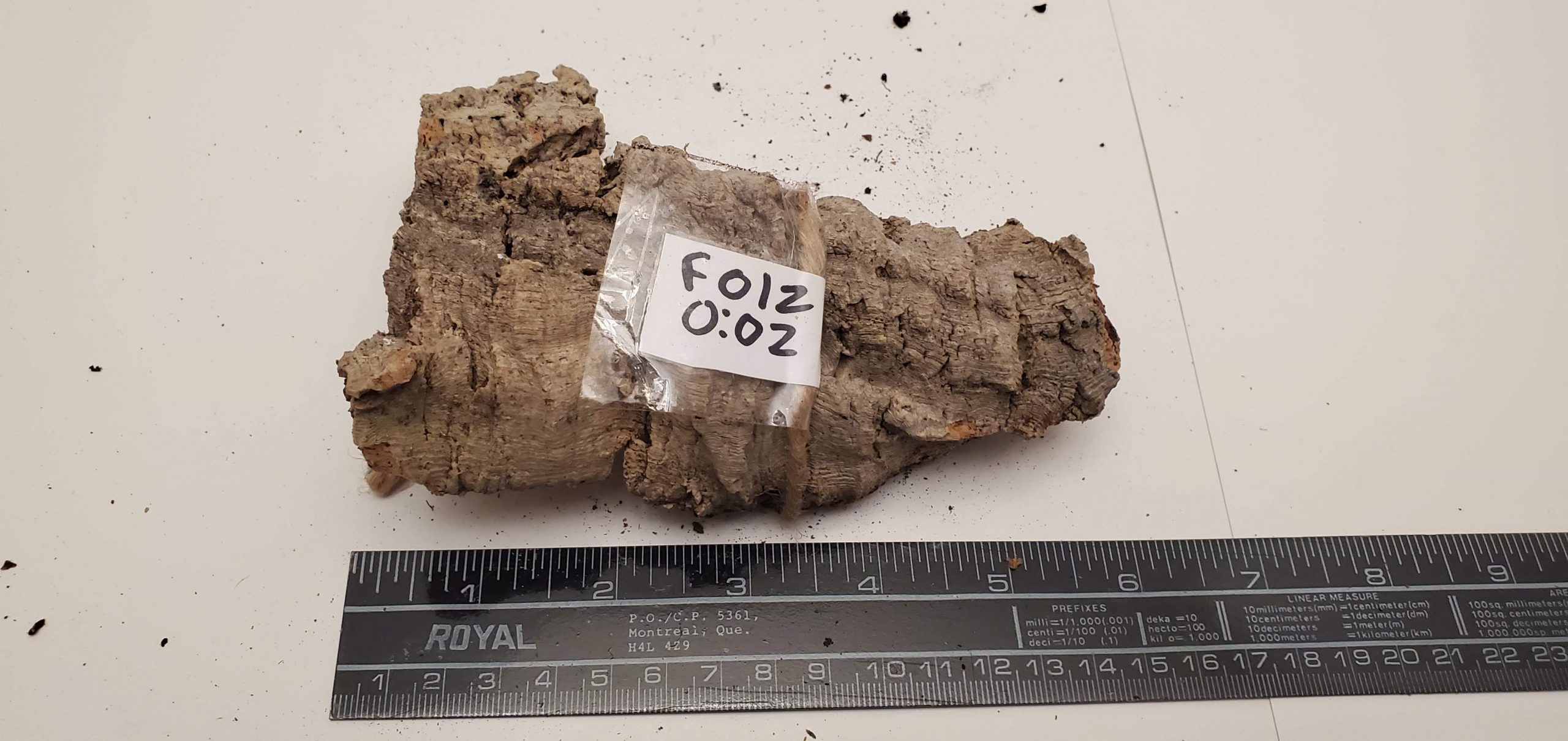 Cork Bark - Flat F012