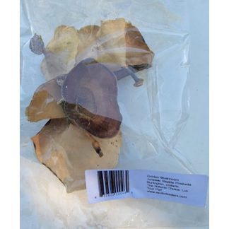 JRP Golden Mushrooms (5pk)