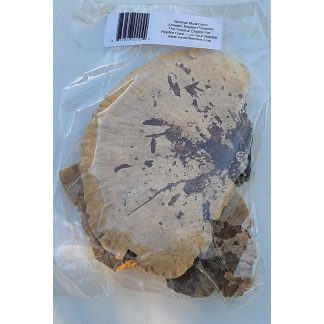 JRP Sponge Mushrooms (2pk)