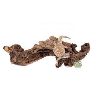 NewCal Mopani Wood Medium  (7.8 X 13.8 ")